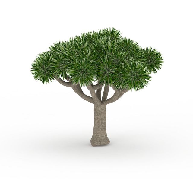 Desert palm tree 3d rendering