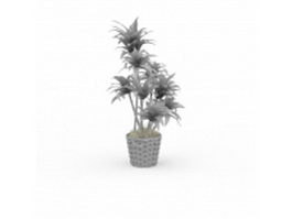 House plant trees 3d model preview