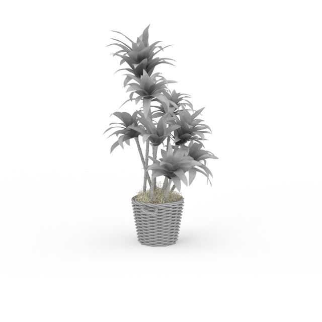 House plant trees 3d rendering