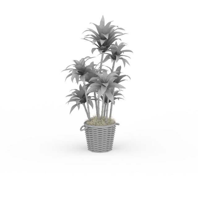 House plant trees 3d rendering