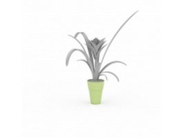 Indoor plants with broad leaves 3d model preview