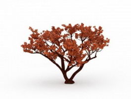 Red tree 3d model preview