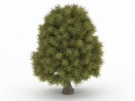 Bald cypress tree 3d model preview