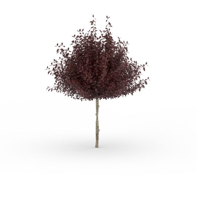 Dark purple tree 3d rendering