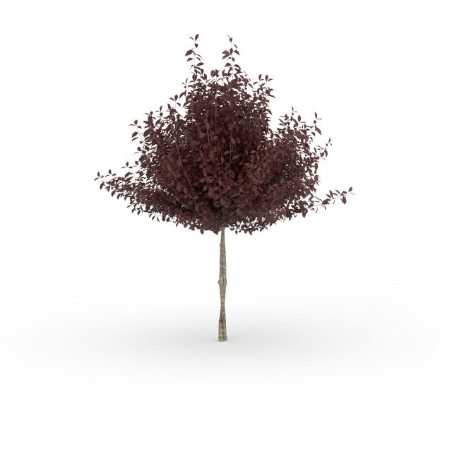 Dark purple tree 3d rendering