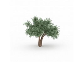 Weeping ash tree 3d model preview