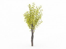 Spring tree 3d model preview