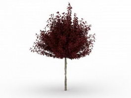 Red dwarf plum tree 3d model preview