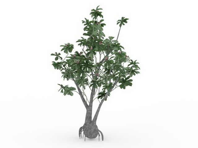Pink and green blossom tree 3d rendering