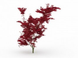 Red maple tree 3d model preview