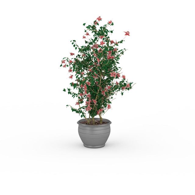 Potted plant with flowers 3d rendering
