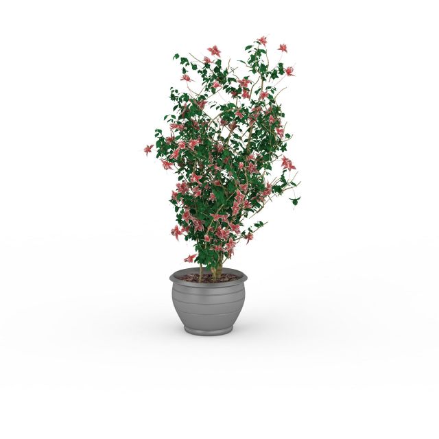 Potted plant with flowers 3d rendering