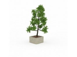 Potted cypress tree 3d model preview
