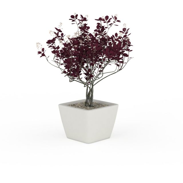 White ceramic planter purple plants 3d rendering