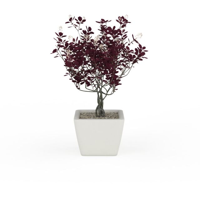 White ceramic planter purple plants 3d rendering