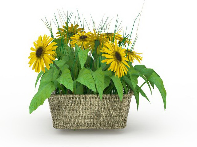 Sunflowers in basket 3d rendering