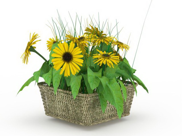 Sunflowers in basket 3d rendering