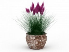Potted plants reed 3d model preview