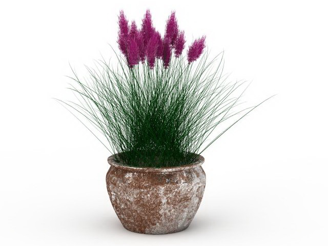 Potted plants reed 3d rendering