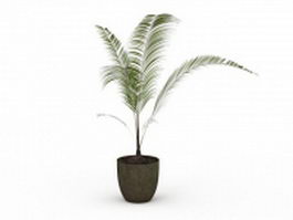 Potted palm plant 3d model preview