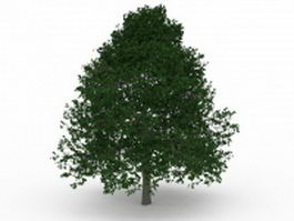 Leafy tree 3d model preview