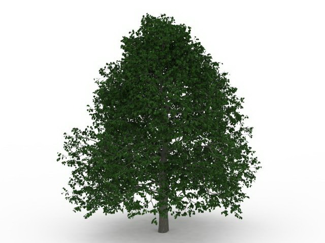 Leafy tree 3d rendering