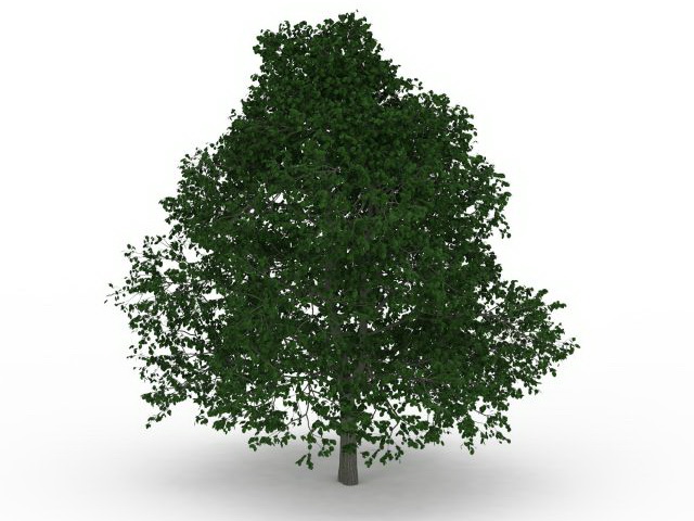 Leafy tree 3d rendering
