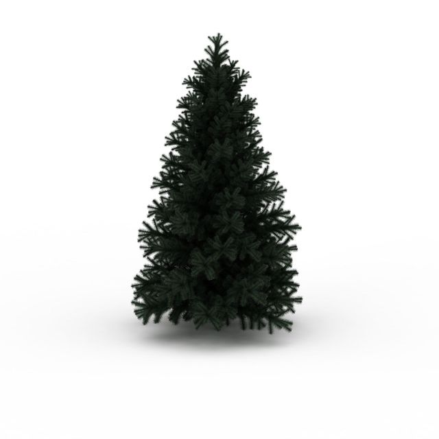 Evergreen pine tree 3d rendering
