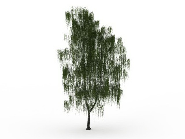 White willow tree 3d rendering