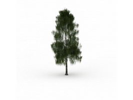 Grey willow tree 3d model preview