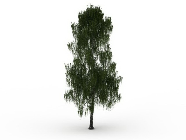Grey willow tree 3d rendering