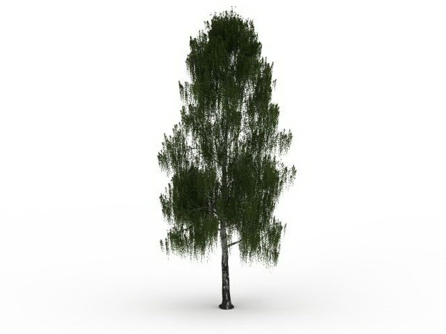 Grey willow tree 3d rendering