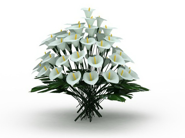 White lilium flowers 3d rendering