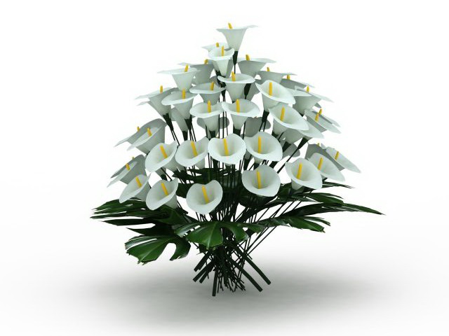 White lilium flowers 3d rendering