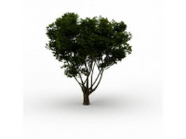 Branching tree 3d model preview