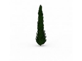 Black spruce tree 3d model preview