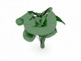 Broad leaved plant 3d model preview