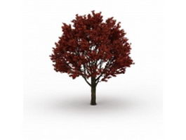 Autumn red maple tree 3d model preview
