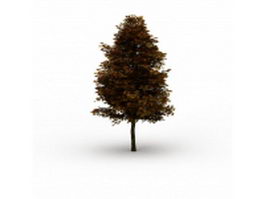 Fall foliage tree 3d model preview