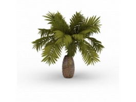 Pineapple palm tree 3d model preview