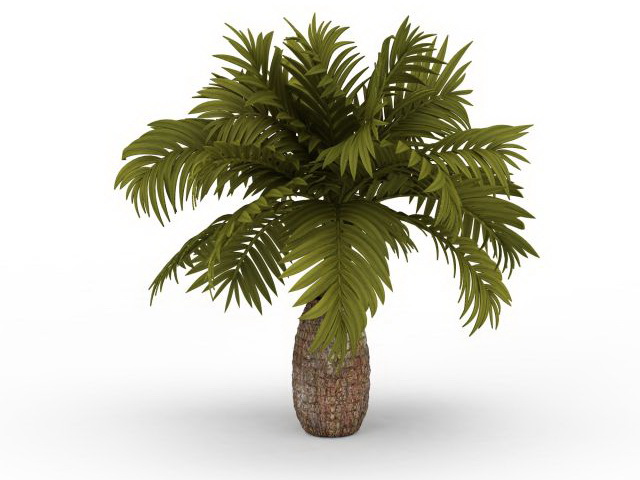 Pineapple palm tree 3d rendering