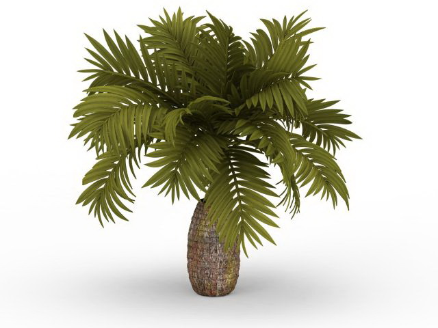Pineapple palm tree 3d rendering
