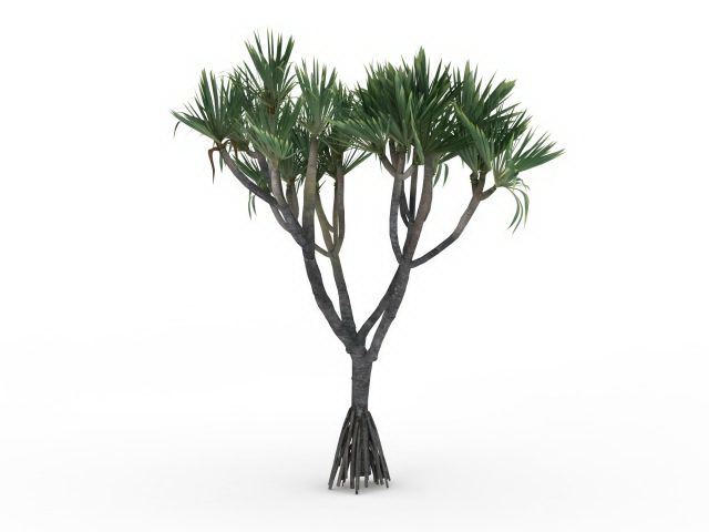 Ornamental palm tree 3d rendering