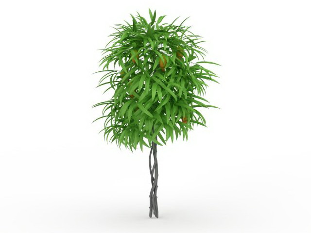 Mango Tree 3d Model Cadnav