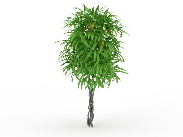 Mango Tree 3d Model Cadnav
