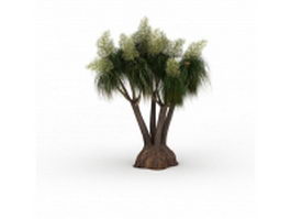 Florida slash pine tree 3d model preview