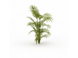 Bamboo palm plant 3d model preview