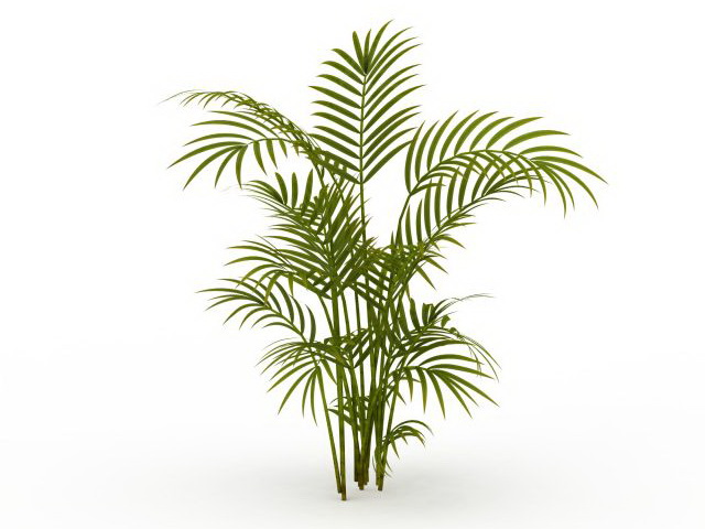 Bamboo palm plant 3d rendering