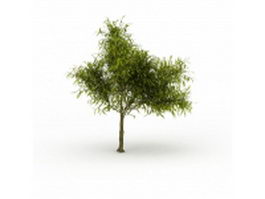 Peach tree plant 3d model preview