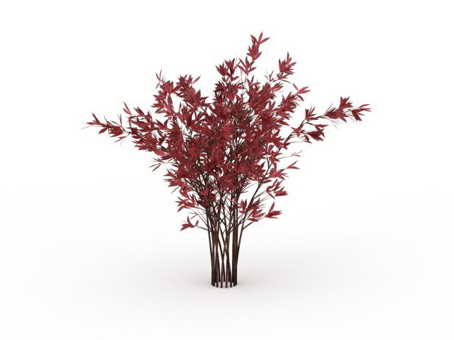 Red tipped photinia shrub 3d rendering